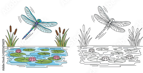 Tableau sur toile Dragonfly flying over pond with water lilies and cattails coloring book page and