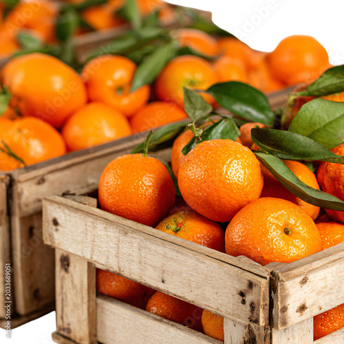 Fresh Oranges and Tangerines in Wooden Boxes Harvest Stock Photo