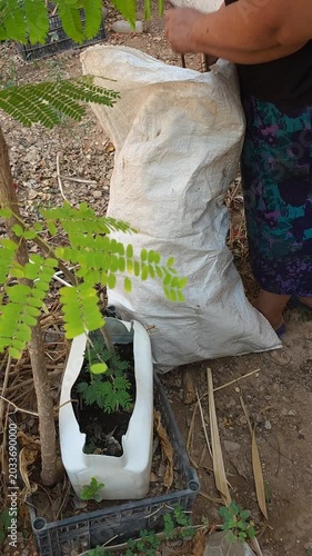 Adult Woman Extracting Small Dry Twigs From White Woven Sack