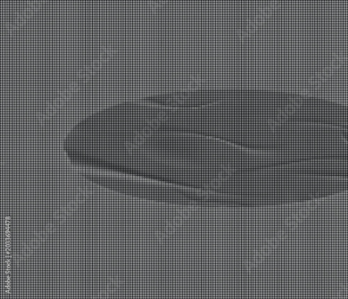 A close-up view of a dark gray oval object with ripples on its surface