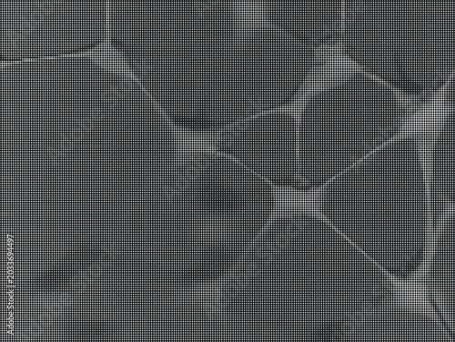 Close-up view of dark gray translucent hexagonal shapes on white background