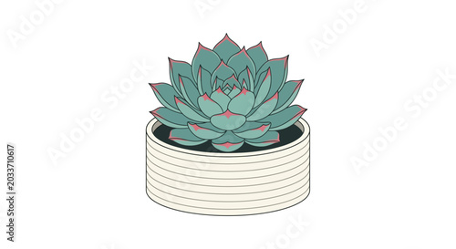Canvastavla Succulent plant in pot vector illustration with teal and cream tones