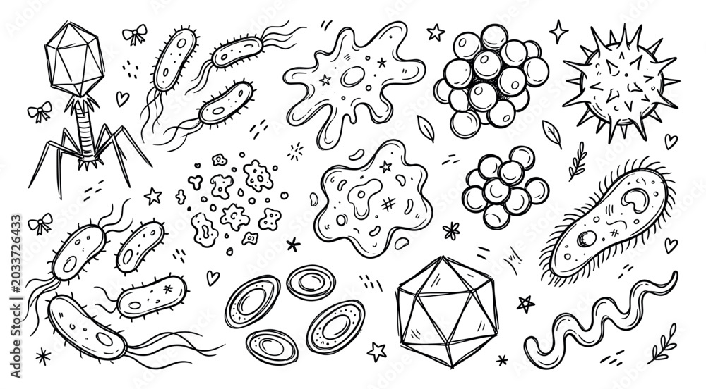 Fototapeta premium Various hand-drawn microorganisms, including bacteria, viruses, and amoebas, are scattered across a clean white background in a doodle style