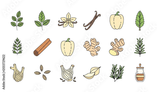 Photos Culinary herbs and spices thin line icon set vector illustration style