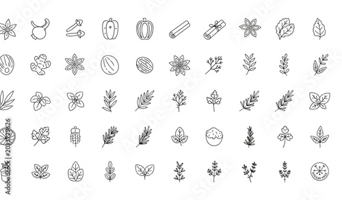 Schilderij op canvas Spices and herbs line icon set vector illustration