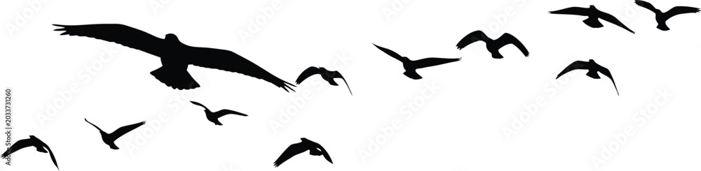 Obraz premium Black Birds Flying in Flock on White Background