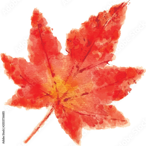 押し花のように描いた紅葉した楓の葉／Autumn maple leaves drawn like pressed flowers