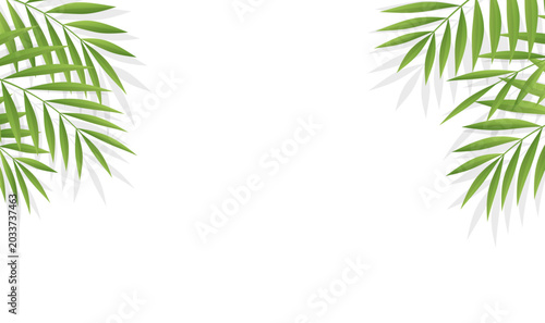 Obraz na plátně Green tropical palm leaves decorating left and right corners with shadow