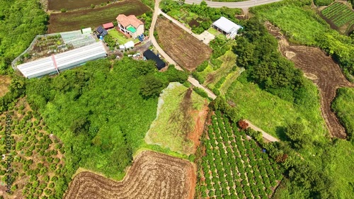 Aerial drone view of Jeju Island rural farmland landscape near Seongsan with beautiful green countryside scenery in South Korea