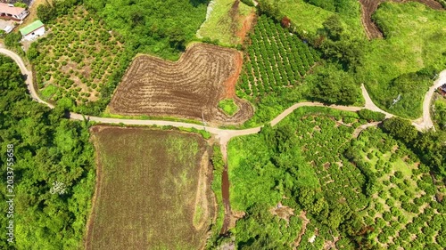 Aerial drone view of Jeju Island rural farmland landscape near Seongsan with beautiful green countryside scenery in South Korea