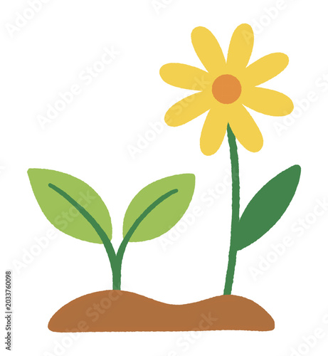 cute yellow flower sprout