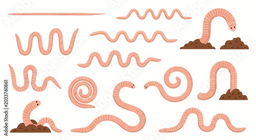 Obraz na plátně Worms, earthworms, worms in soil, cartoon worms, vermicomposting concept, backgr