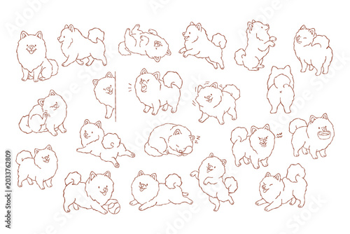 Dog puppy pomeranian illustration line drawing set pose cute dog puppy pomeranian illustration line drawing set with playful poses, sleeping