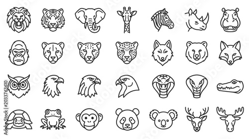 Photography Various Animal Faces and Heads.