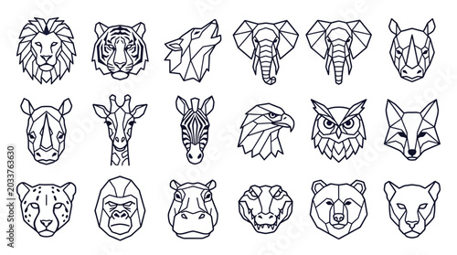 Photography Various Animal Heads Line Drawings.
