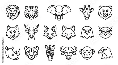 Photography Various animal heads in line art.