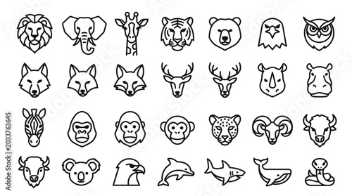 Photography Various animal heads and faces.