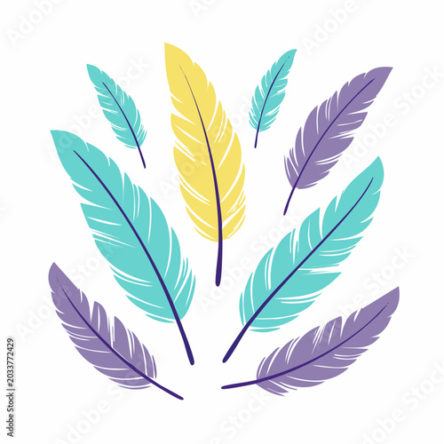 Colorful Feathers Illustration