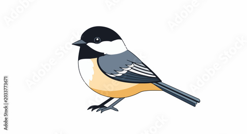 A small bird with black, white, grey, and orange plumage perched