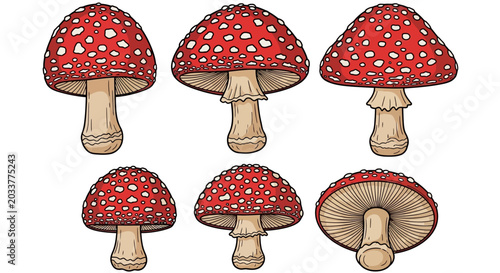 Tableau sur toile Fly agaric mushrooms, red and white spotted, illustration, fungi concept, backgr