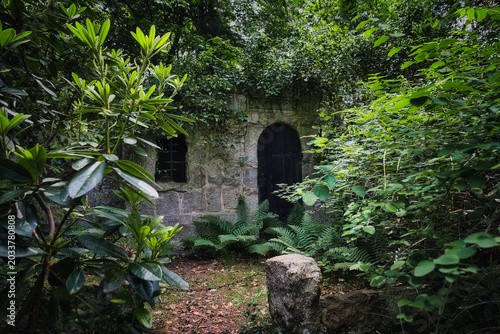 Tablou pe pânză Historic Woodland Cemetery in Stahnsdorf: Cinematic Gothic Architecture and Mela