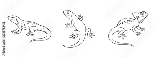 Foto Hand Drawn Sketch of Three Lizards on White Background Minimalist Line Art