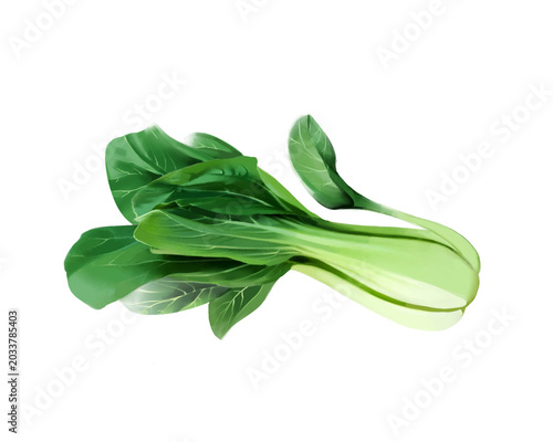 Fotografie Hand Painted Pak Choi Fantasy Game Asset