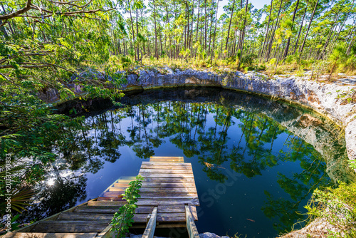 Slika na platnu Wooden dock leading into a crystal-clear blue hole surrounded by lush pine forest in South Abaco Blue Holes Conservation Area, Bahamas