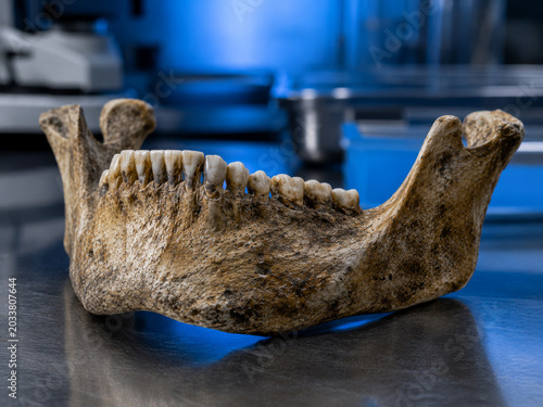 A remarkably preserved ancient human mandible, complete with a full set of teeth, rests on a gleaming metallic surface within a modern laboratory setting, illuminated by a cool blue light, emphasizing