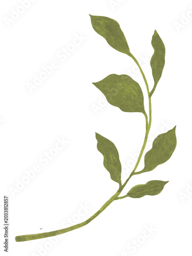 Εκτύπωση καμβά Vintage green leaves and branch illustration, gouache texture, PNG