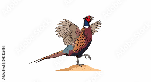 A colorful pheasant with wings outstretched stands on a dirt mound
