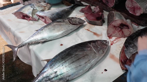 Whole tuna and its parts on fish market in Sri Lanka