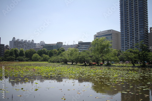 Modern luxury apartment tower and skyscrapers overlooking Shinobazu Pond in Tokyo.