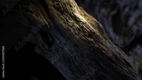 Dramatic light across weathered wood texture with cinematic detail