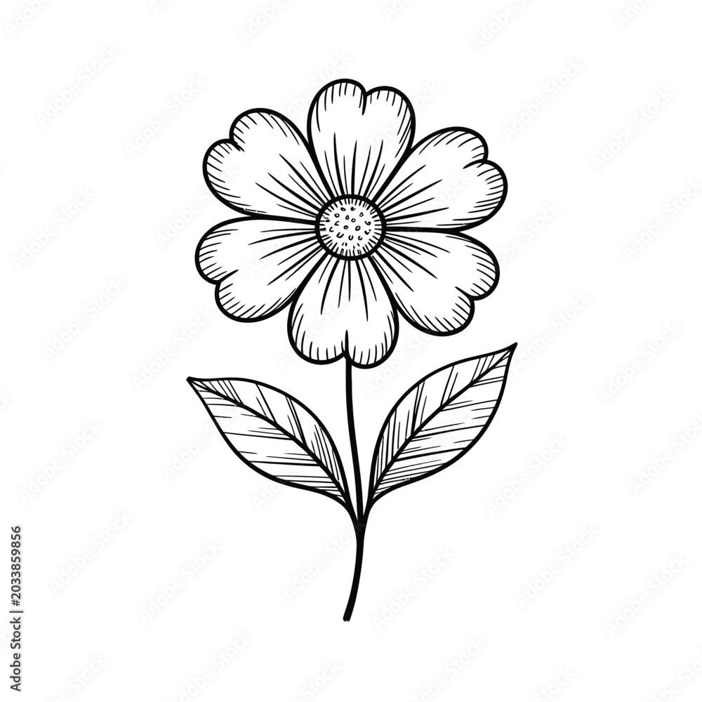 Fototapeta premium Black and white hand drawn flower illustration botanical line art