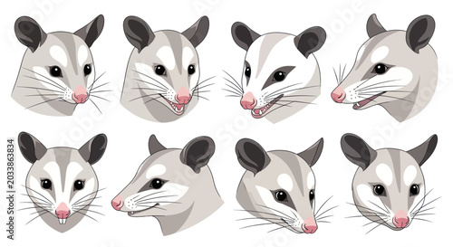 Tableau sur toile Opossum Heads Collection: Diverse Expressions and Angles
