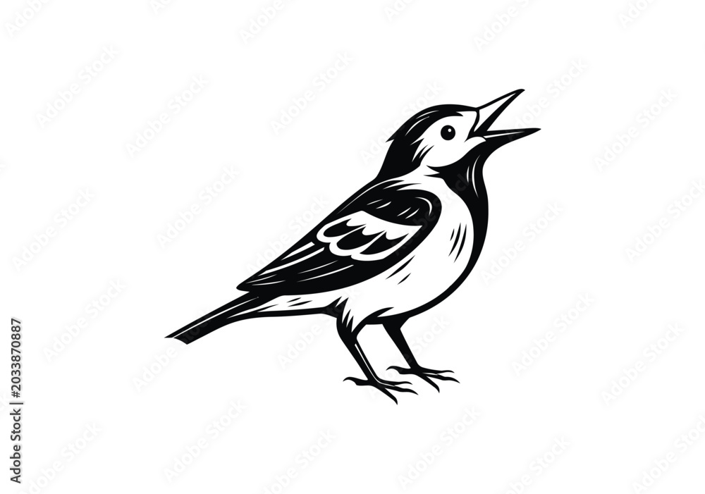 Obraz premium Stylized singing bird with open beak black and white illustration