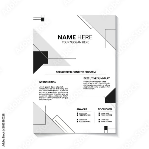 Professional business report and executive summary layout