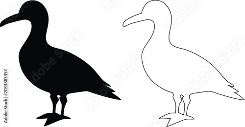 Photos Black silhouette and outline of a seabird standing on white background, black an