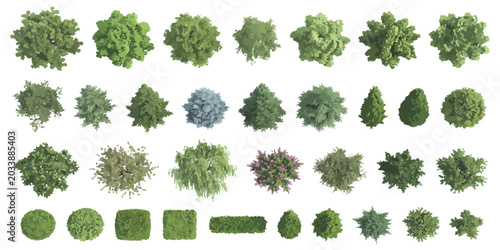Obraz na płótnie Set of diverse green trees and shrubs seen from above for landscape design and a