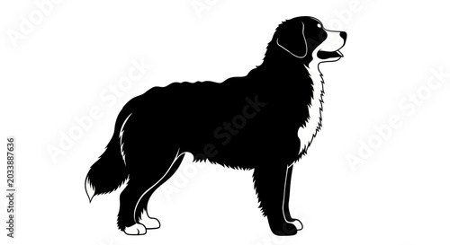 Schilderij op canvas Bernese Mountain Dog Silhouette Vector Illustration