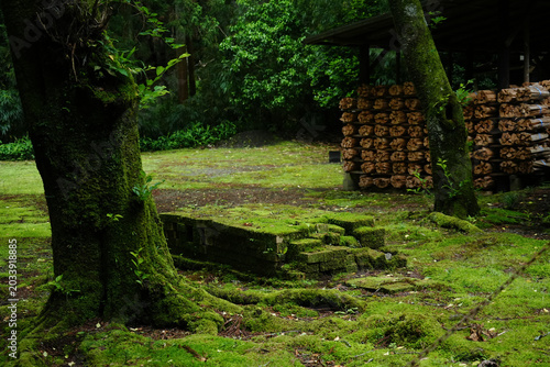 神奈川県_丹沢_塔ノ岳