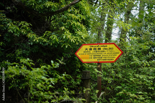 神奈川県_丹沢_塔ノ岳