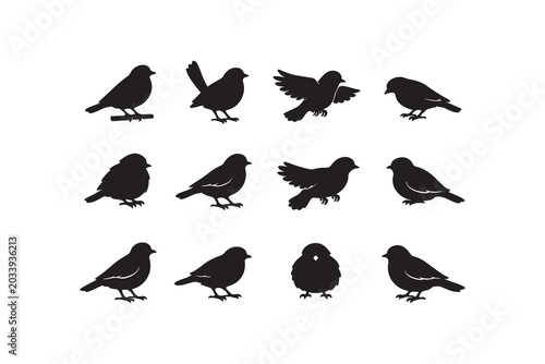 Tableau sur toile Twelve Songbird Silhouettes Collection — Sparrow, Robin & Garden Bird Vector Set