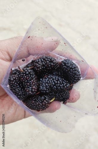 Mulberries grow quite well in Meghalaya because of the cool climate and hilly terrain, especially around the Khasi and Jaintia Hills. Black varieties are richer and juicier.