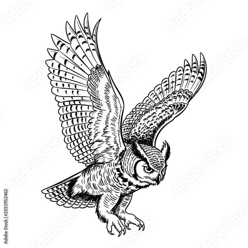 Bild auf Leinwand Great Horned Owl in Flight - Detailed Ink Sketch