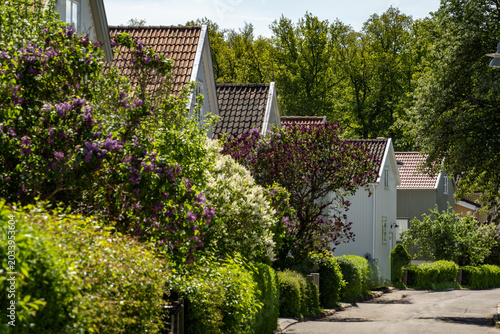Photography Stockholm, Sweden  Residential houses in the upscale Bromma district