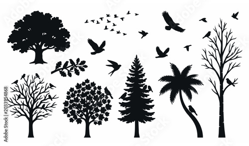 Photos Tree and bird silhouette vector set with natural forest elements isolated on whi