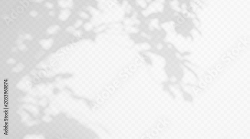Abstract tree leaf shadow overlay on transparent background. Soft blurred foliage silhouette with natural sunlight effect and botanical gobo light texture.