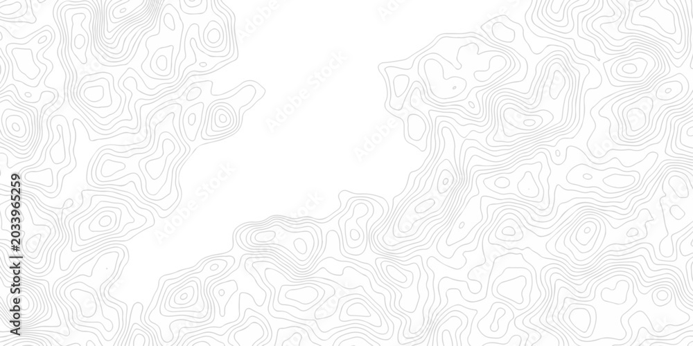 Fototapeta premium Abstract pattern with lines seamless pattern and topography map and counter map. abstract sea map and mounted map area space geometric line technology topo landscape grid map texture.